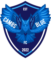 Cambs Blues Owls badge